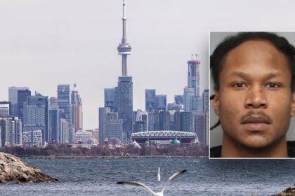 Canadian murder suspect on most-wanted list arrested in Mississippi, was in US illegally, DHS says