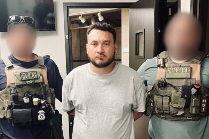 Illegal's dragging of ICE agent shows the exact danger the officer who shot Renee Good feared, expert says