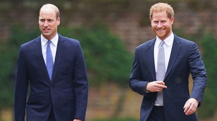 Princess Diana prepared Prince Harry to be king over shy Prince William: friend