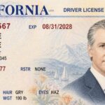 Newsom mocks Trump's limited-edition passport with fake California driver's license featuring gov's portrait