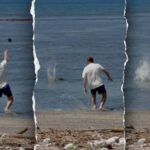 Attorney for man accused of throwing rock at endangered Hawaiian monk seal says client was protecting turtles