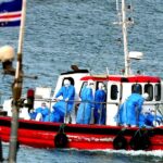 DR MARC SIEGEL: Hantavirus cruise outbreak is alarming but fear is spreading faster than facts