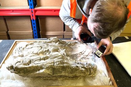 Traces of rare purple dye mentioned in Bible passages found in 'remarkable' discovery
