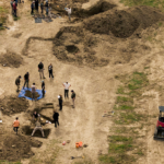 A California dog rescue hid a grim secret: more than 100 dogs buried beneath it
