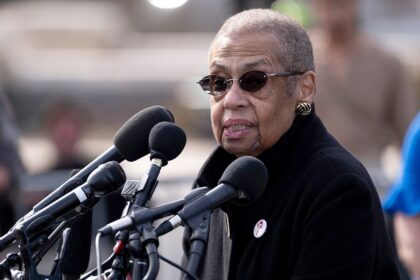 Dems pick potential successor to DC's congressional delegate after decades-long incumbency