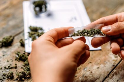 Legalizing pot didnt kill the black market, it created a marketing department for it