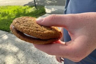 Depression-era Little Debbie snack that built a family-run bakery still has Americans hooked