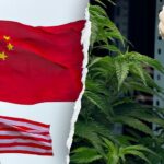 Former acting DHS secretary warns Chinese criminal organizations are infiltrating America's hemp industry