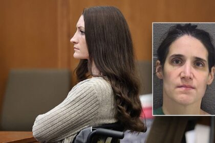 Accused NC killer mom plans insanity defense â as retired judge says more may follow Lindsay Clancy strategy