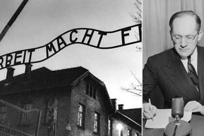 Family member of lawyer who coined 'genocide' seeks to strip name from group accusing Israel of atrocity